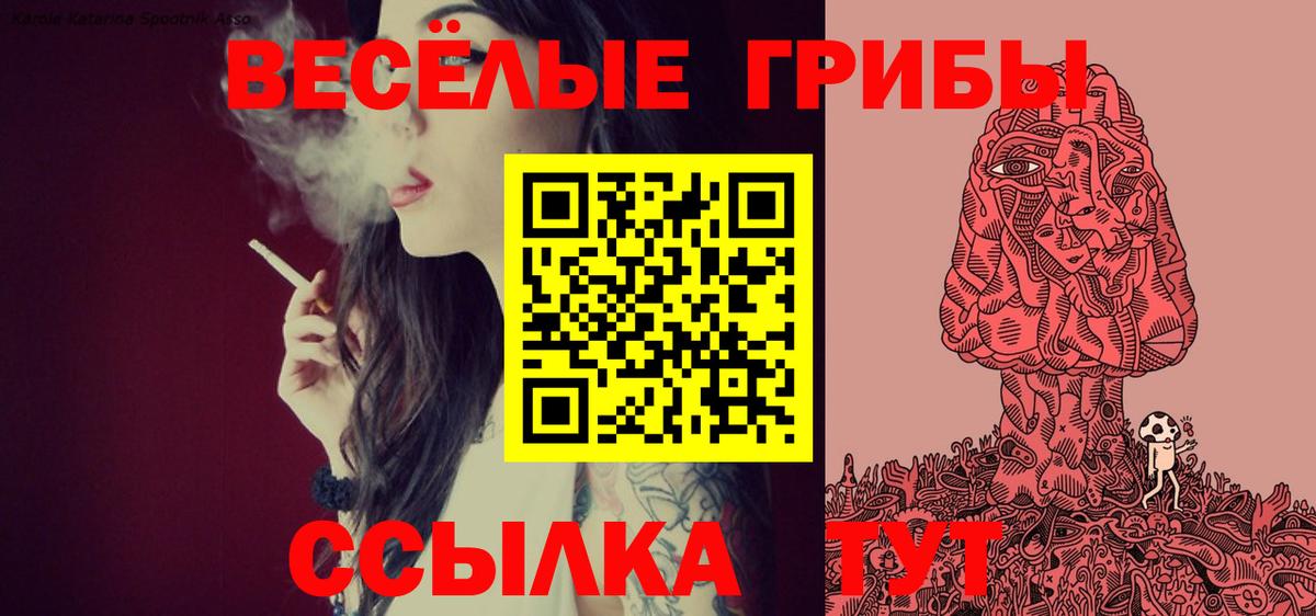 Псилоцибиновые грибы GOLDEN TEACHER  Вход с VPN  Галлюциногенные грибы Magic Shrooms  Архангельск 